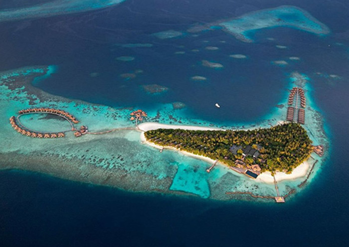 Coco Bodu Hithi
