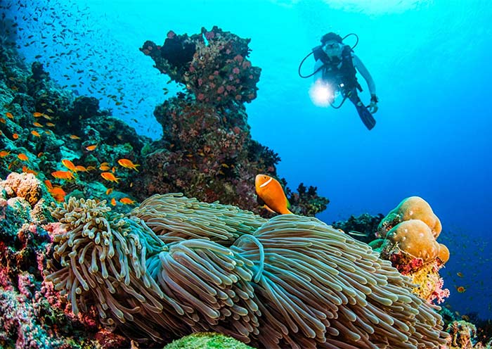 Dusit Thani Maldives
