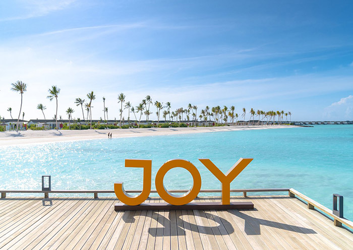 Joy Island
