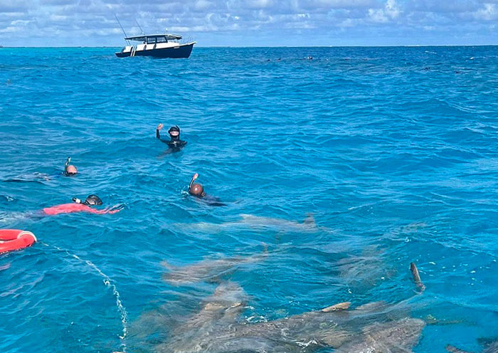 Snorkelling