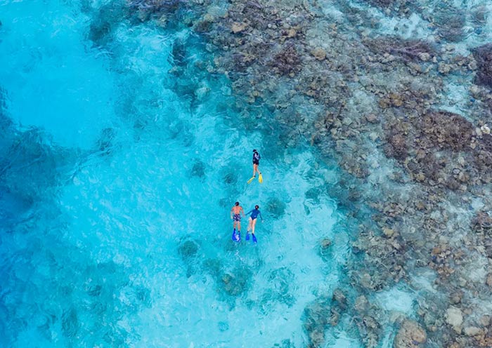 Reef Snorkelling