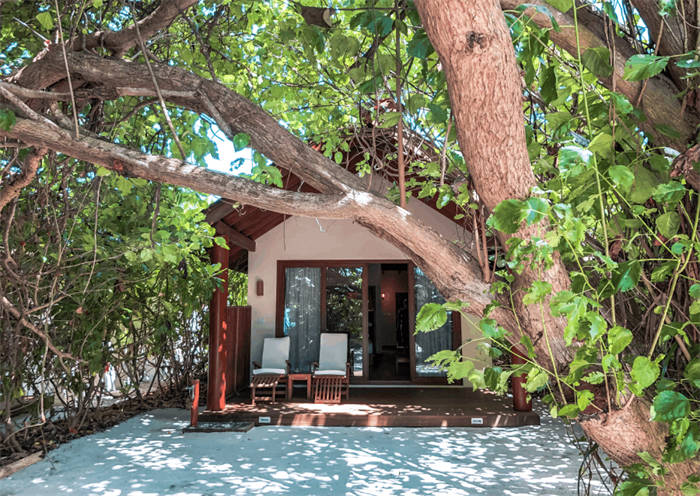 Reethi Faru Resort - Deluxe Beach Villas
