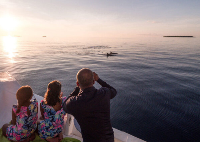 Sunset Dolphin Cruise