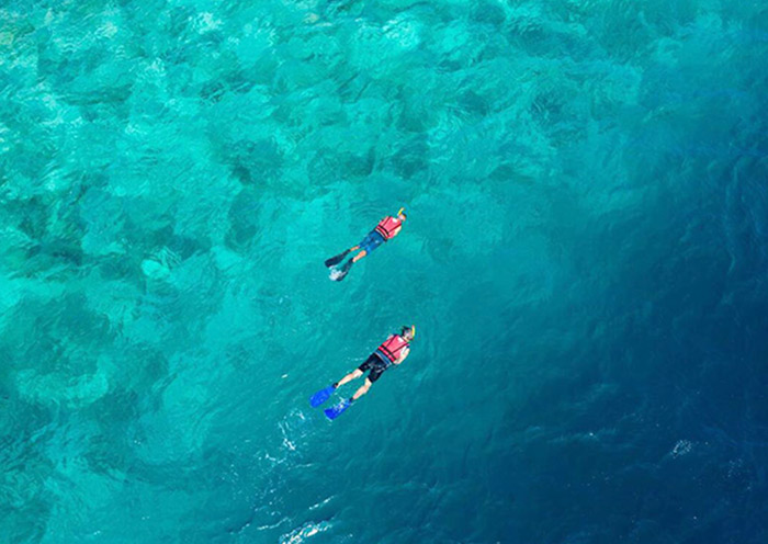 Snorkeling