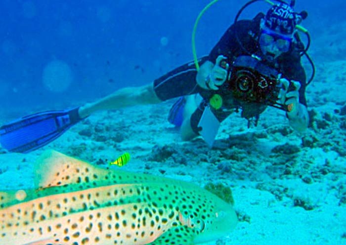 Thulhagiri Island Resort  Maldives