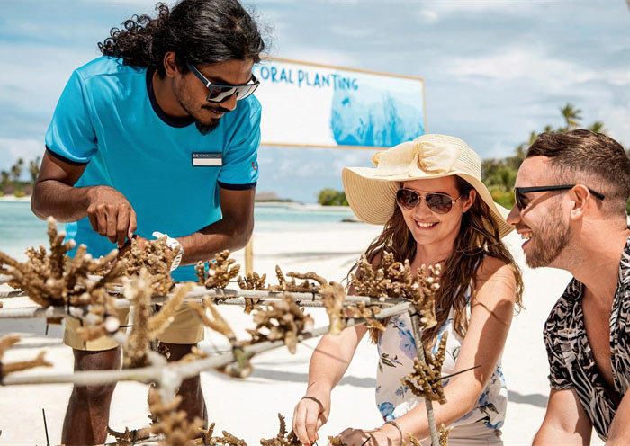 Coral Planting