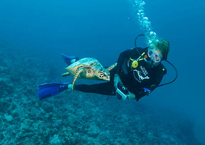 Vilamendhoo Island Resort & Spa, Maldives