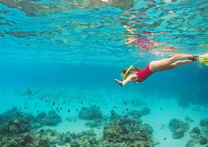 Snorkeling